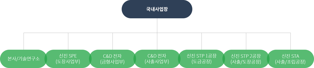 국내사업장 : 본사/기술연구소, 신진 SPE (도장사업부), C&D 전자(금형사업부),
                      신진 STP 1공장(도금공장), 신진 STP 2공장(사출/도장공장), 신진 STA(사출/조립공장)